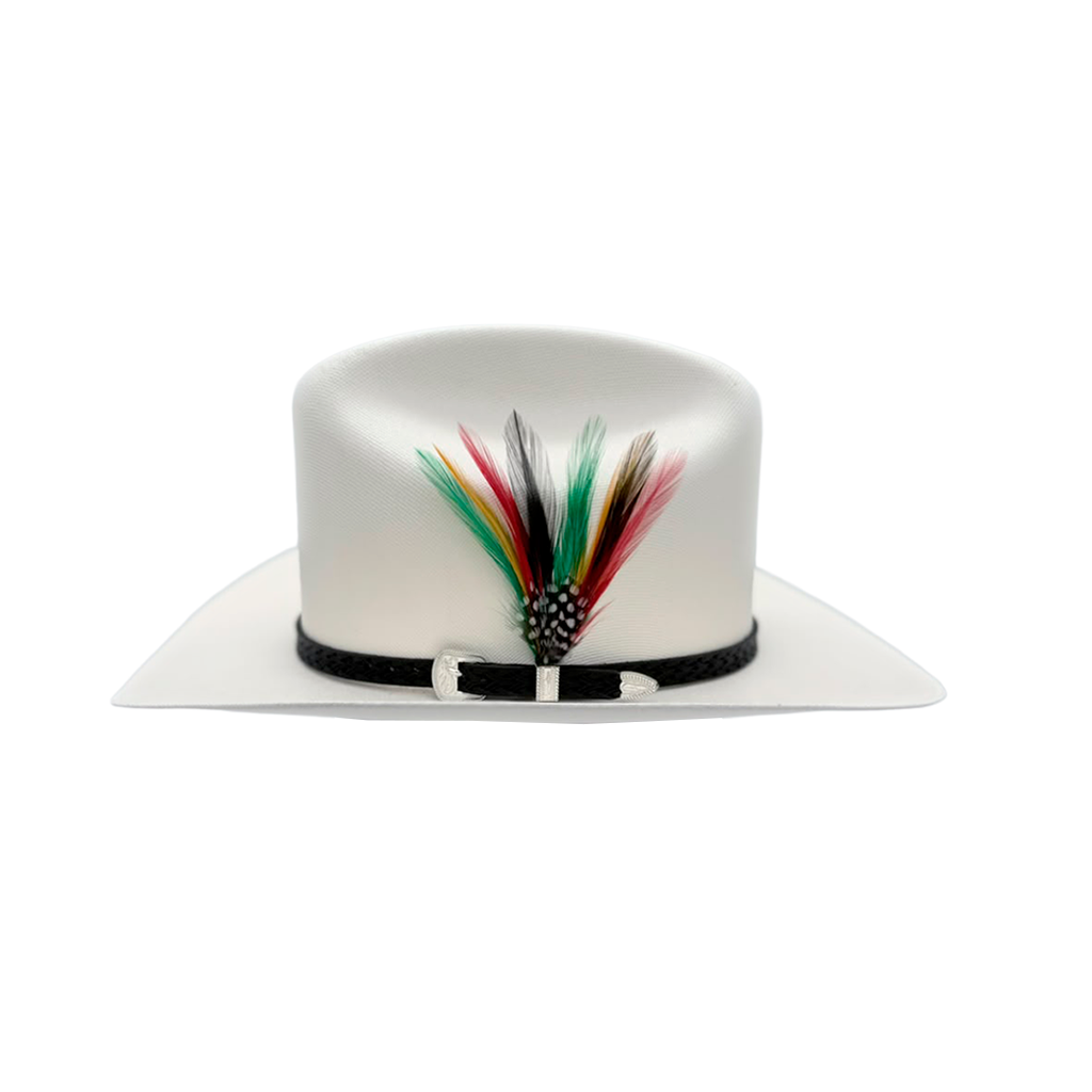 Sombrero Morcon 2500X – Copa Baja Sinaloa y Doble Pluma Stetson