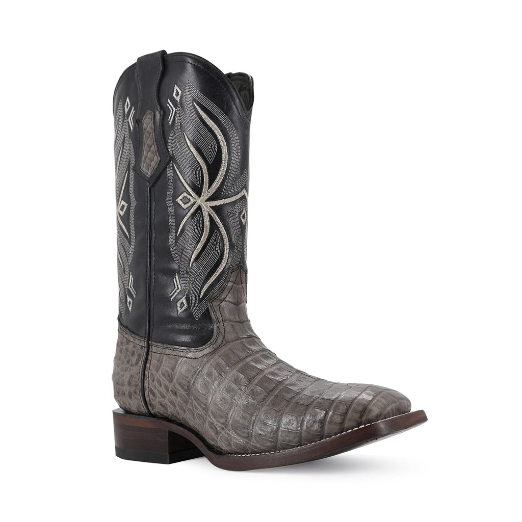 BULL DOG COCO PANZA GRIS